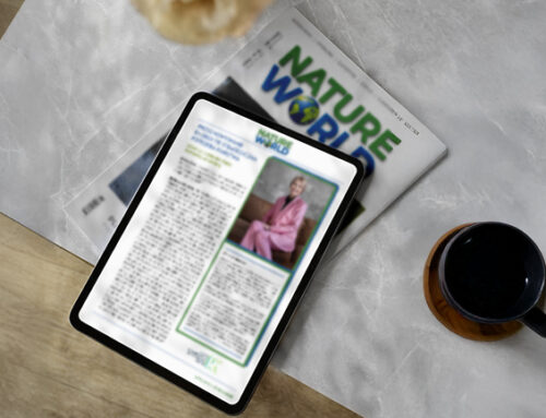 Przechowywanie energii to&nbsp;strategiczna potrzeba państwa